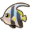 Angelfish.png