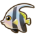 Angelfish.png