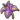Iris.png