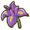 Iris.png