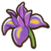 Iris.png
