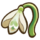 Snowdrop.png