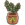 Olive sapling.png