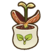 Cocoa seedling.png