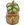 Peach sapling.png