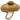 Shiitake.png