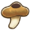 Shiitake.png
