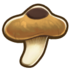 Shiitake.png