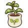 104Avocado Seedling.png