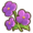 Violet.png