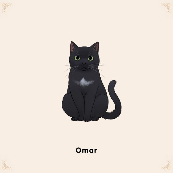 File:Adoptable Omar.jpg