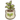 Plum seedling.png