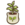 Plum seedling.png
