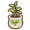 Plum seedling.png
