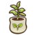 Plum seedling.png