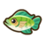 Tilapia.png