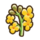 623Canola.png