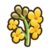 Canola.png