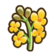 623Canola.png