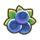 463Blueberry.png
