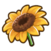 Sunflower.png