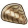 304Zebra Mussel.png