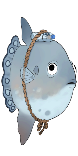 File:Mola spring.png