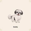 Adoptable Geddy.jpg