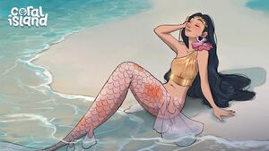 December blog update.jpg