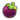 Mangosteen.png