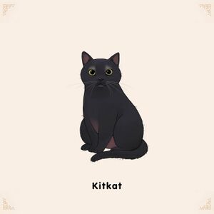 Adoptable Kitkat.jpg