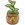Almond sapling.png