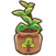 Almond sapling.png