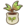 Snake fruit seedling.png