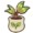Snake fruit seedling.png
