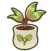 Snake fruit seedling.png