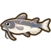 Catfish.png