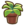 Small potted plant.png