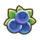 Blueberry.png