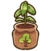 Durian sapling.png