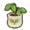 Lychee seedling.png