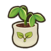 Lychee seedling.png