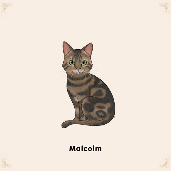 File:Adoptable Malcolm.jpg