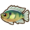 Bluegill.png
