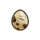 Quail egg.png