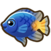 Damselfish.png