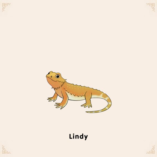 File:Adoptable Lindy.jpg