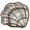Cockle.png