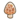 Morel.png