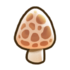Morel.png